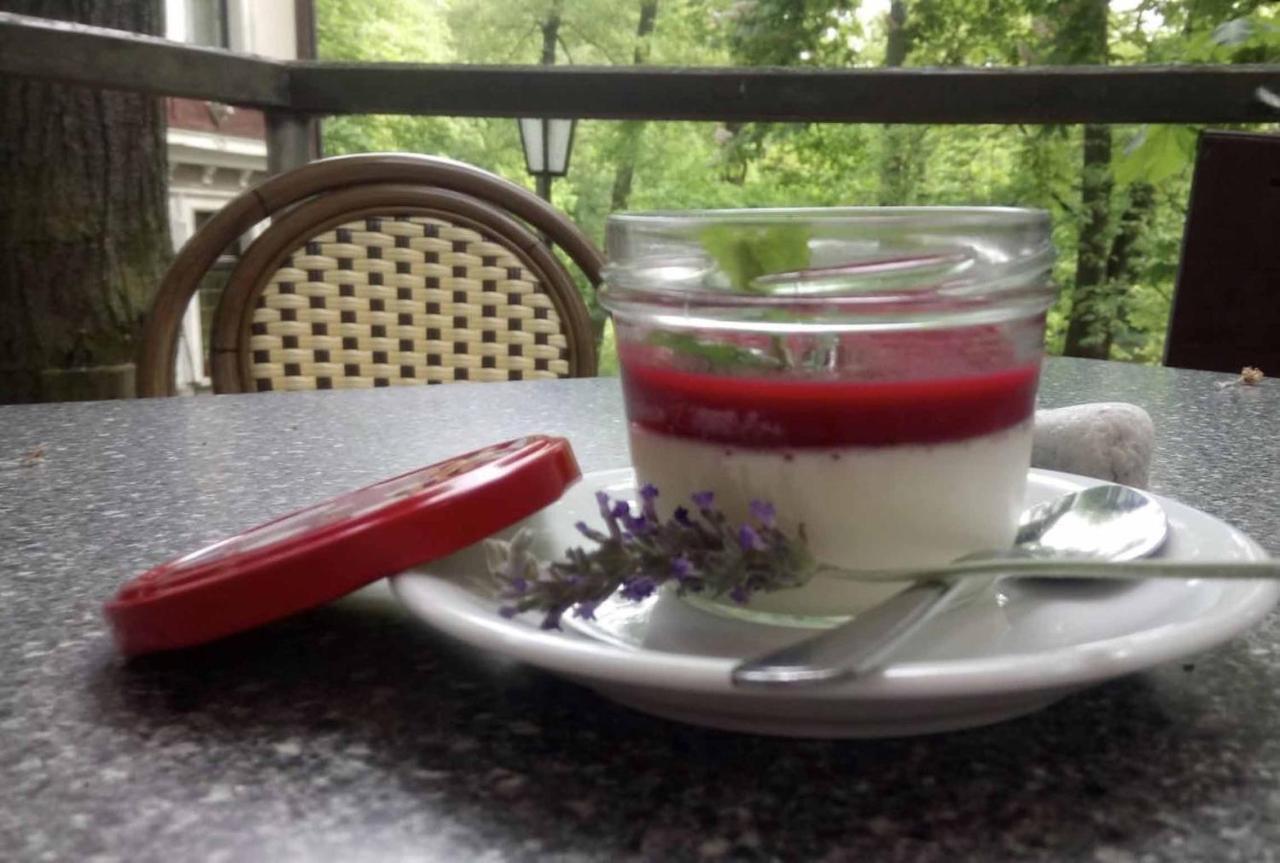Forsthaus Apartman Crimmitschau Kültér fotó